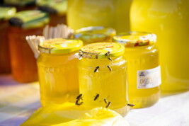 'Stop a miele artificiale, non salva le api e inquina il mercato'