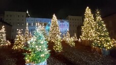 Torino accende il Natale con il videomapping e un bosco di abeti